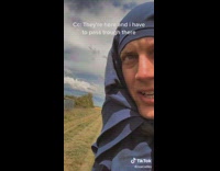 Collab BitchIG2 - Guy walks by swam of bees