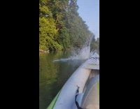 Guy does a somersault off a rope swing into the water 
