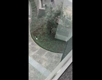 Photographer stands in trees and takes picture of woman in front of wall