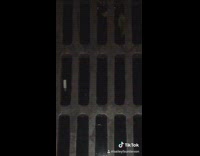 Girl records sewers penny wise runs away