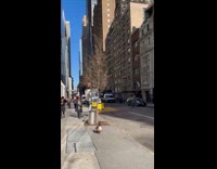 Duck looks lost roaming around the street