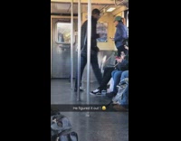 he figured it out pigeon in train