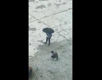 Guy in blue poses in lot with umbrella with no rain 
