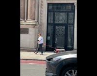 Woman walking with pet pig on sidewalk 