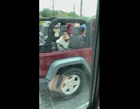 Small white dog pink goggles red jeep