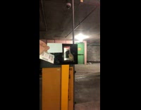 Collab BitchMP - Frog on scanner jumps into car