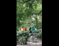 Collab WINY - Group of masked people dancing at park