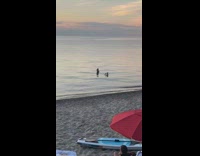 Couple dip water pictorial sunset calm beach