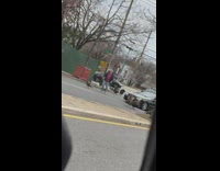 Collab WINY - Man Chases Away Wild Turkey on Street for cars to pass