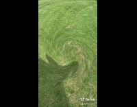 Collab BitchIG2 - Guy red gas can arson whirlpool