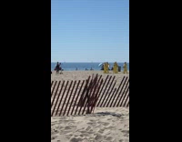 Group yellow hazmat suit  band beach fence