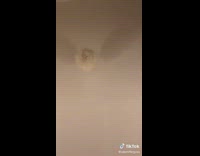 Woman white beanie lip sync simpson audio