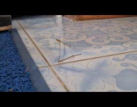 Two dragonfly reproduce and flies with each other