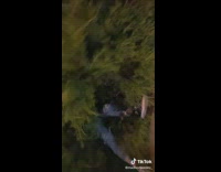 Collab BitchMP - Girl pushes friend into bush george bush 