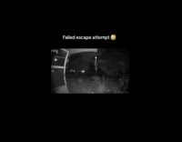 Kid hold cat meow at security camera