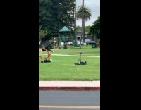 Collab IITW - Acrobats does stunts and films at the park 