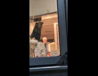 Guy at KFC looks like the KFC guy 