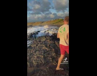 Geyser explodes on tourists and wipes out woman standing too close 
