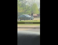 Quarantine is real girl dances black car 