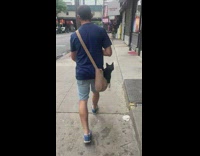 Black and white cat sits inside bag while owner walks 