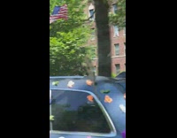 Skeleton sticks out of car with stickers 