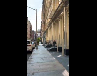 Collab WINY - Lost chicken beside plants outside of building