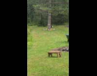 Woman whistles to call cat  on backyard