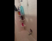 Man sees mice swimming on his toilet 