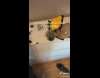 Guy shakes his snowglobe in the mirror and it breaks in his hand