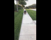 Guy rides kid toy tricycle mariokart