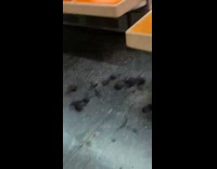 Stray hair from haircut lays on train seats and floor 