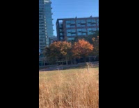 Collab winy - Man fishing in the middle of grass field 