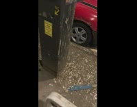 Parking meter covered in bird poop