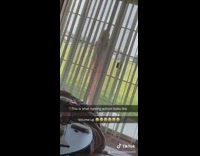 Girl screams outside nursing school online