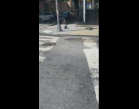 Man grey top do push ups tree