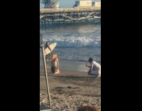 Collab IITW - Woman white crop top kneel at beach