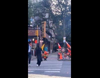 Traffic cones people goofing around on street