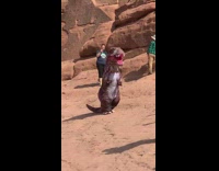 Dinosaur costume walk natural arch stone park