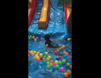 Little boy slides down inflatable bounce house water slide and falls into ball pit pool