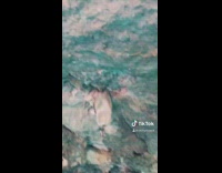 Happy Earth day compilation