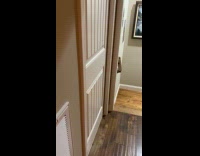 Cat keeps on knocking at the door