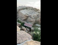 People ignore closed sign purple jacket mountain 