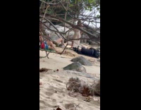 Woman beach dress poses at the beach Part 2