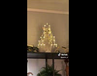 Collab Clips MPUGC - Cat hides behind small tree 