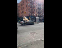 Car drives with gold and silver balloons