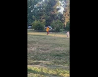 Guy orange jacket dance tiktok kid approach