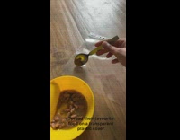 How to make your dog paint 