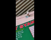 Guy weld wire light bulb flicker roof