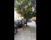 Smoke comes out from underground electrical explosion