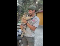 Guy holds and plays with baby tiger